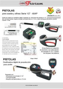 80 Ficha RAASM 37794 37704 Pistolas pdf