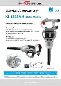 104 Ficha Kuani Pistolas Neumaticas KI 1838A 6 pdf